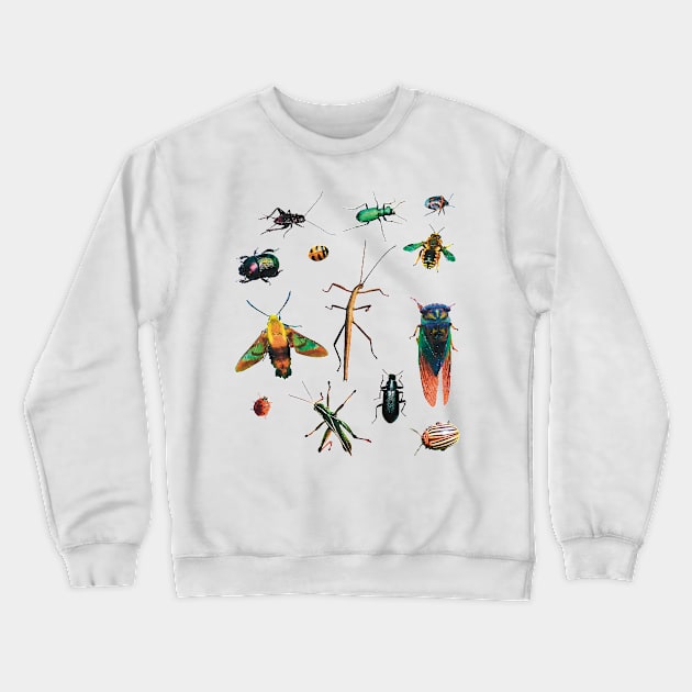 Flock of Bugs Crewneck Sweatshirt by Griffelkinn